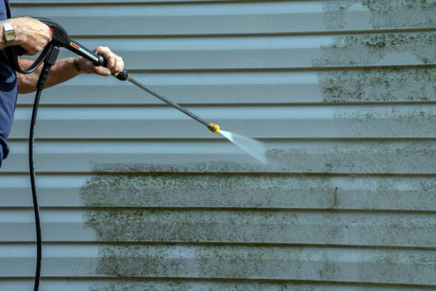 Best Pressure Washing Near Me  in Lazy Mountain, AK