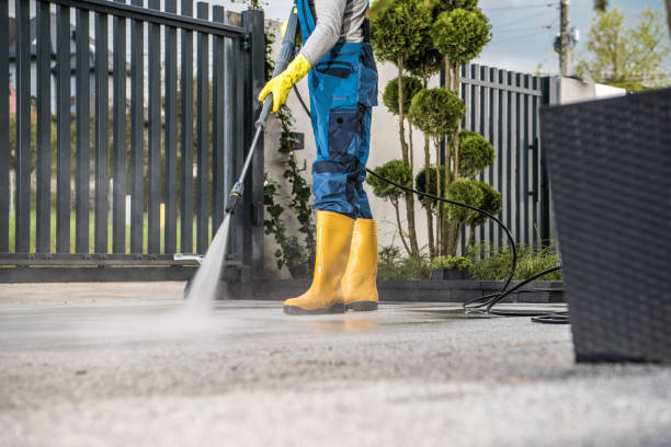 Best Pressure Washing Near Me  in Lazy Mountain, AK