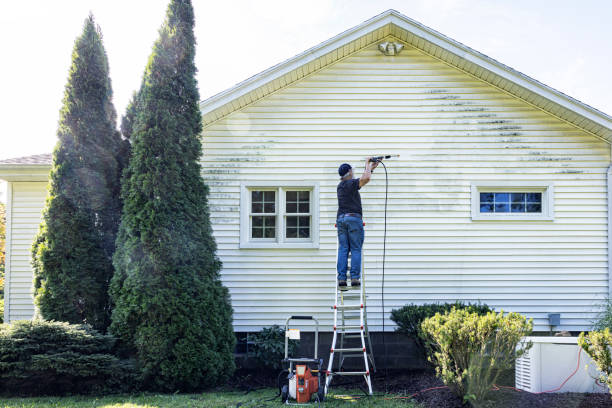 Best Residential Pressure Washing Services  in Lazy Mountain, AK