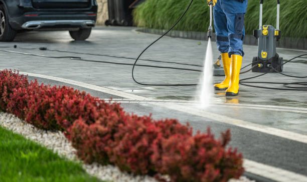 Best Local Pressure Washing Services  in Lazy Mountain, AK
