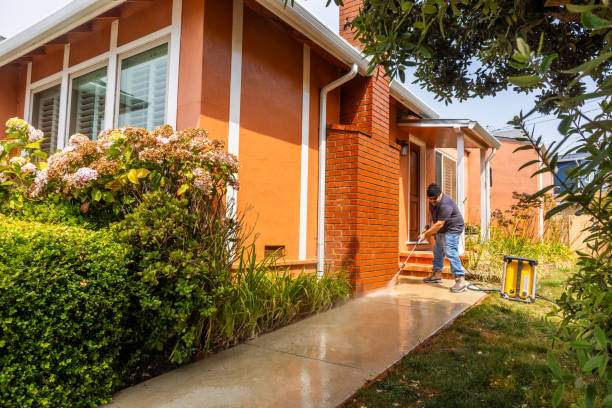 Best Exterior Home Cleaning  in Lazy Mountain, AK